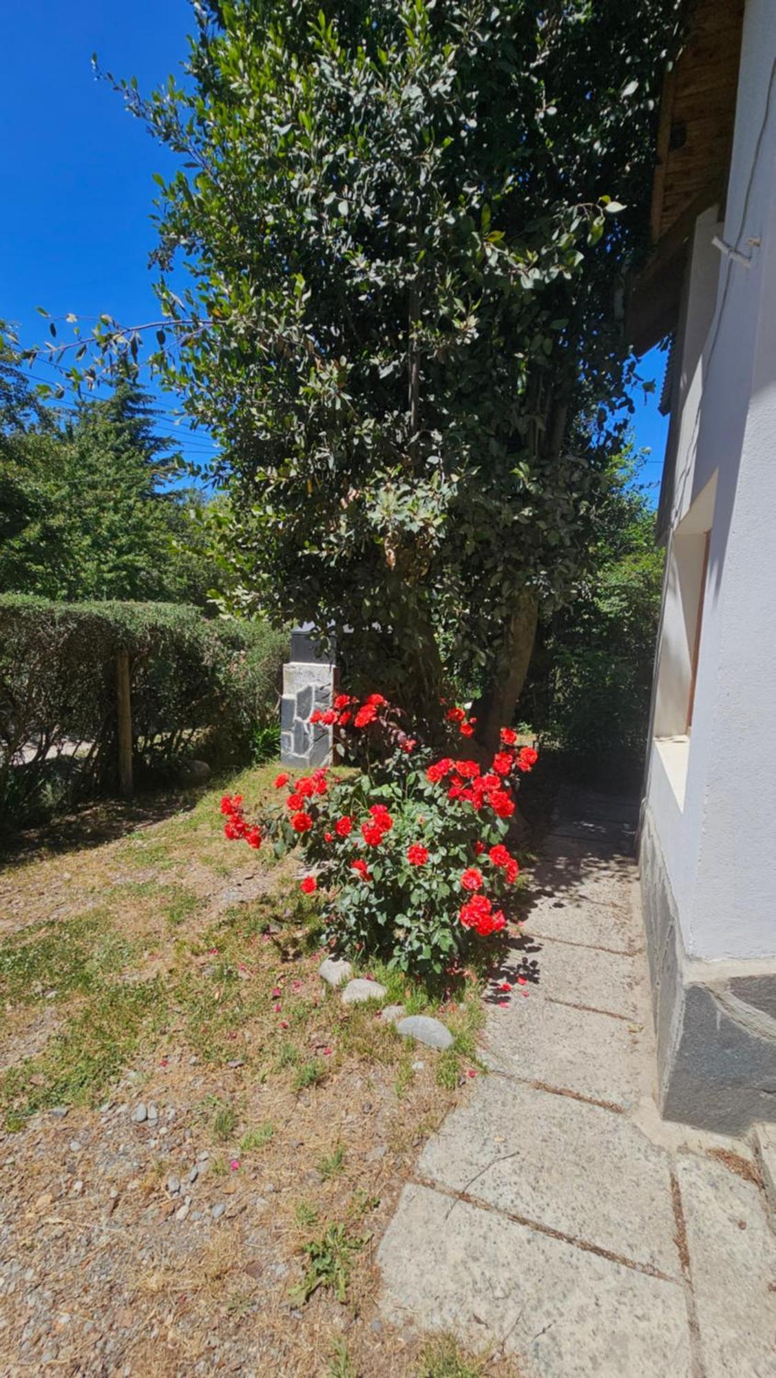 Apartment Arcangeles